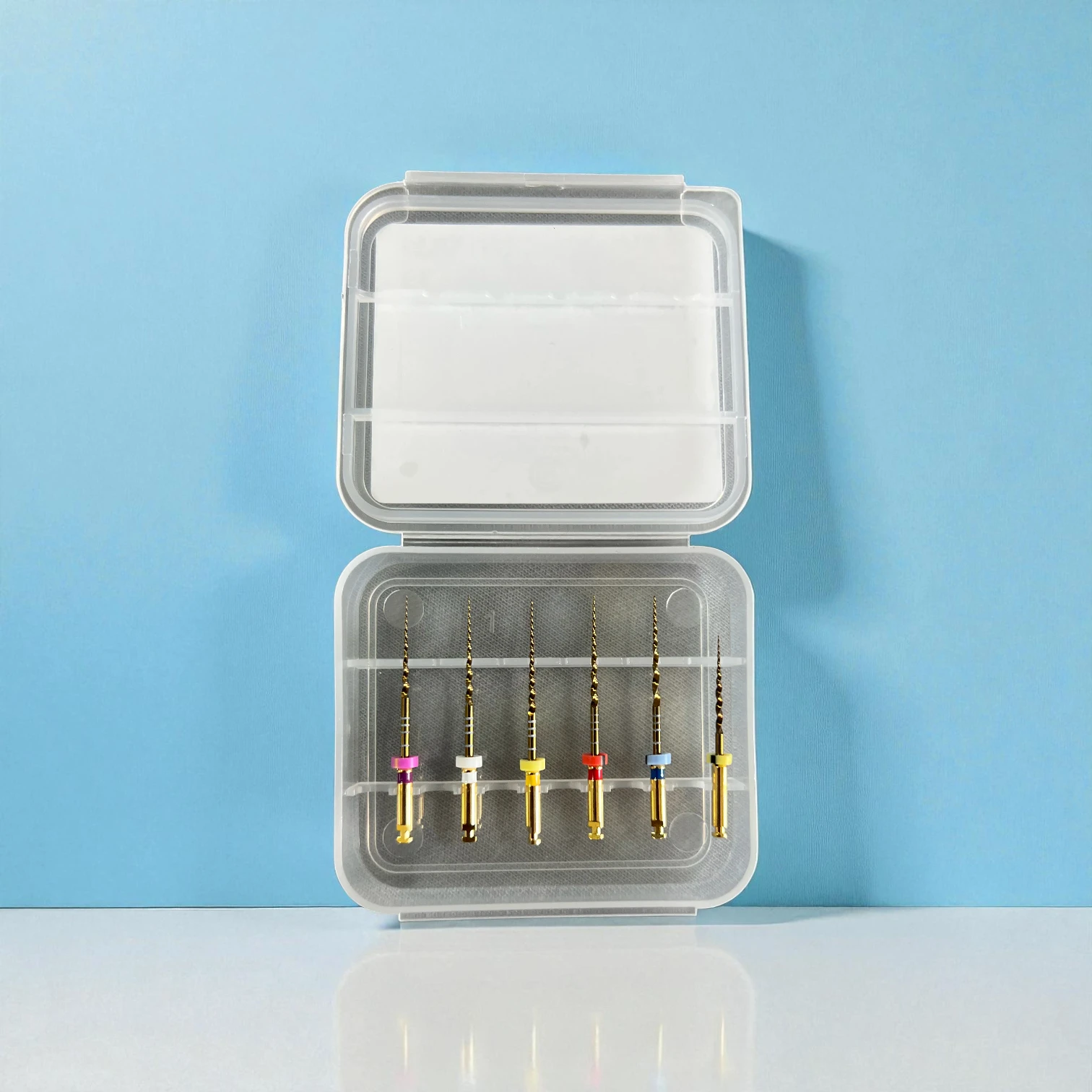 CareCorner Rotary PT Blue Files